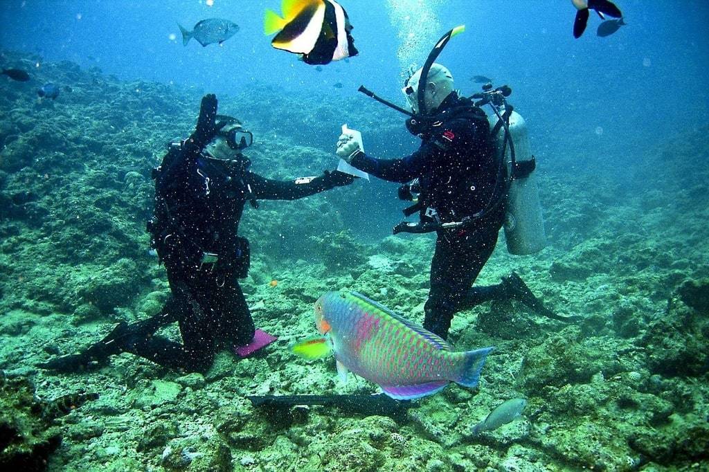 Tourisme en profondeur : visiter les sites légendaires engloutis